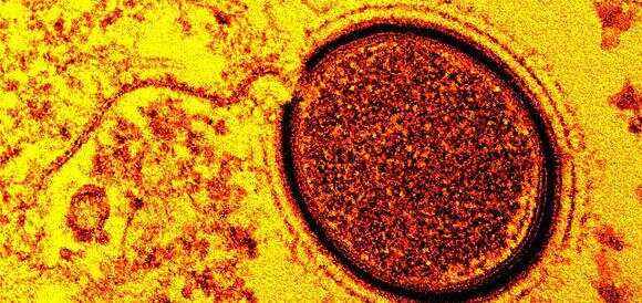 瑞典碾压瑞士，德容打破历史纪录