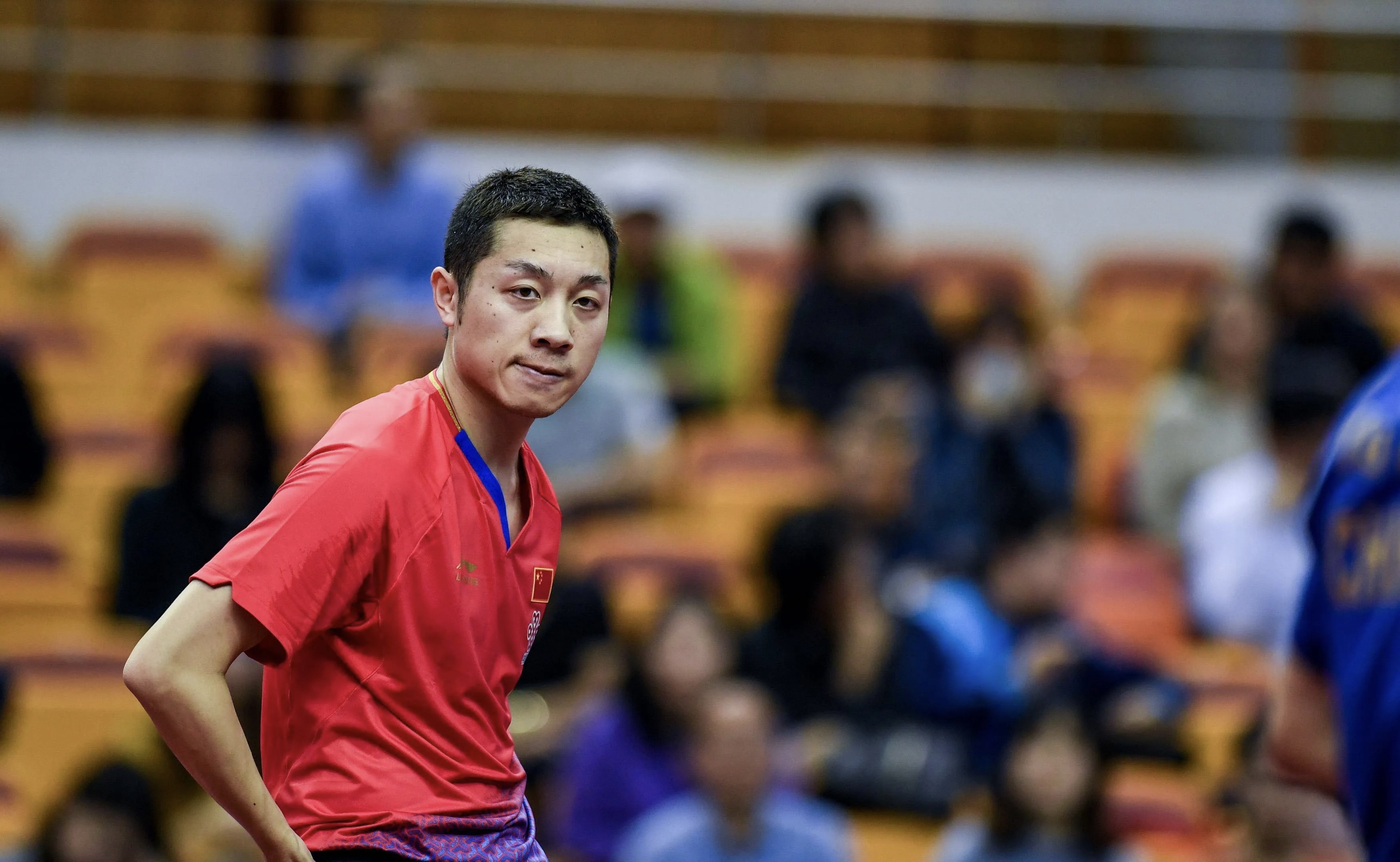 波兰乒乓球队血洗日本乒乓球队，许昕统治全场