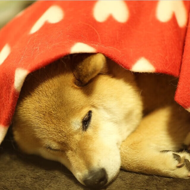 新生代接管，当格林绝杀热火，少年搅动国家德比