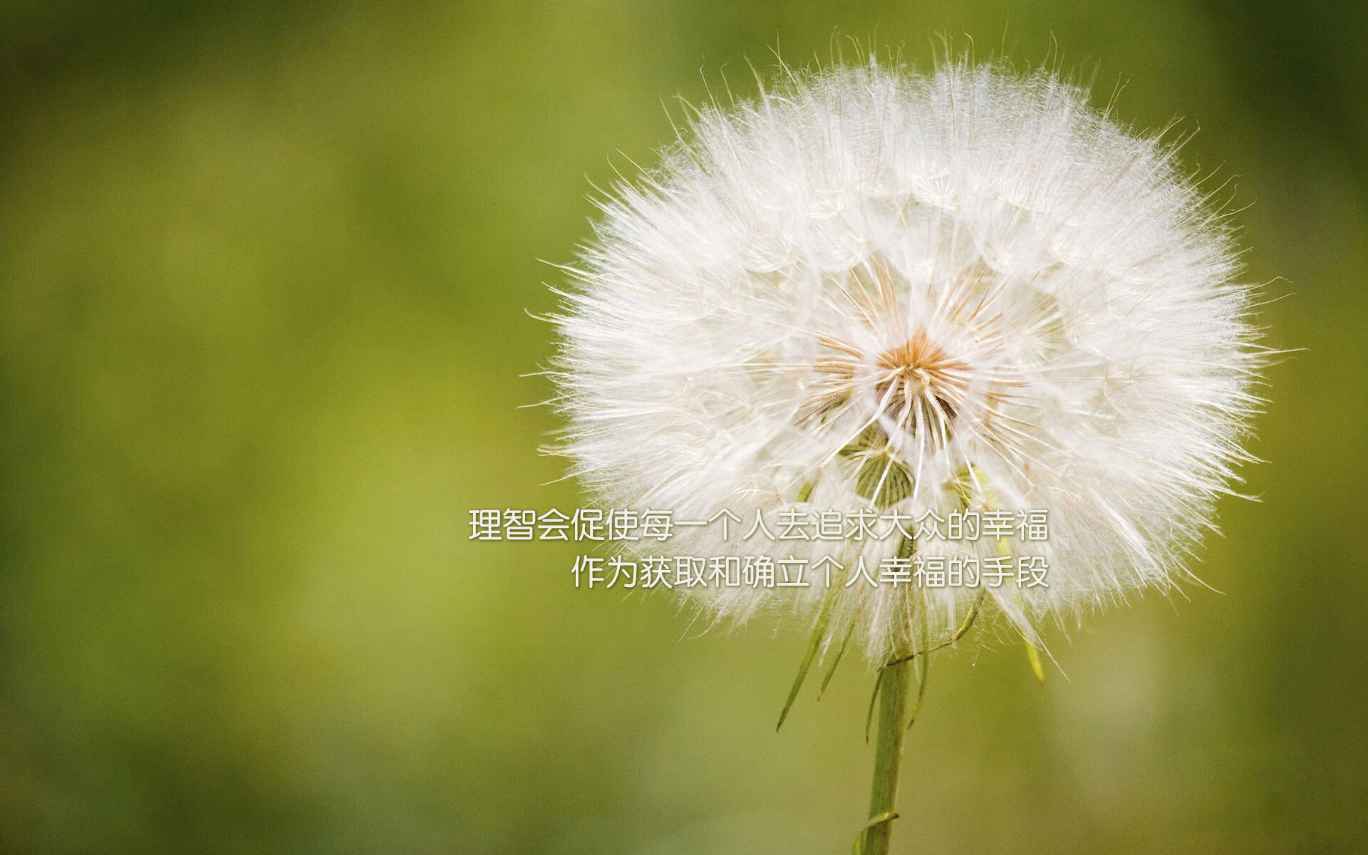 烈焰飓风英格拉姆，寒冰刺阵一波流，马刺的冷静与广厦的崩解