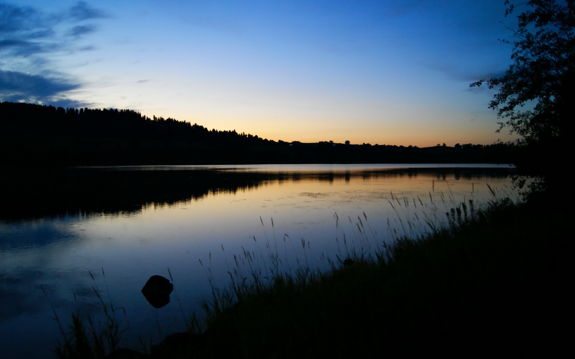 红牛疾驰，枪手失蹄，蒂亚戈·阿尔坎塔拉如何用手术刀般传球肢解阿森纳防线