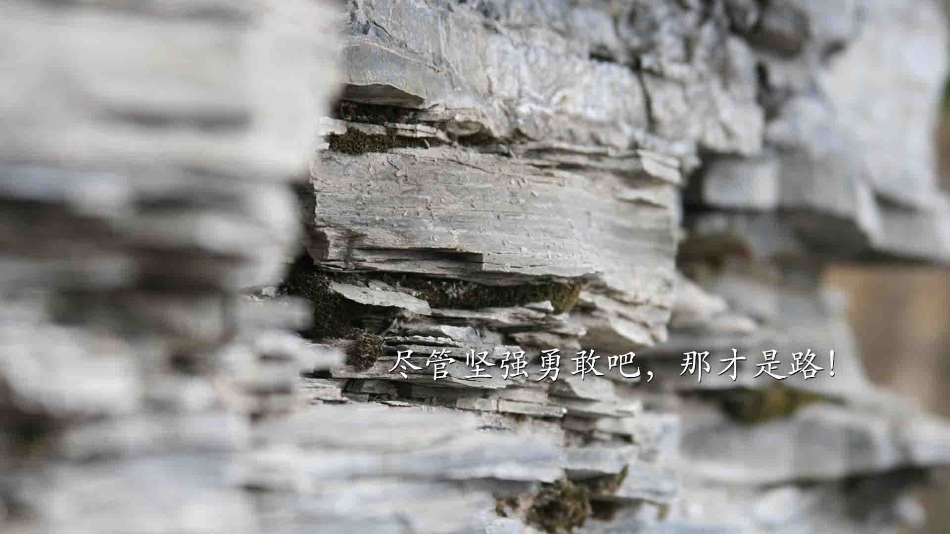 范弗利特10分拉满赢数据，勇士狂胜输比赛？评分系统下的篮球真相