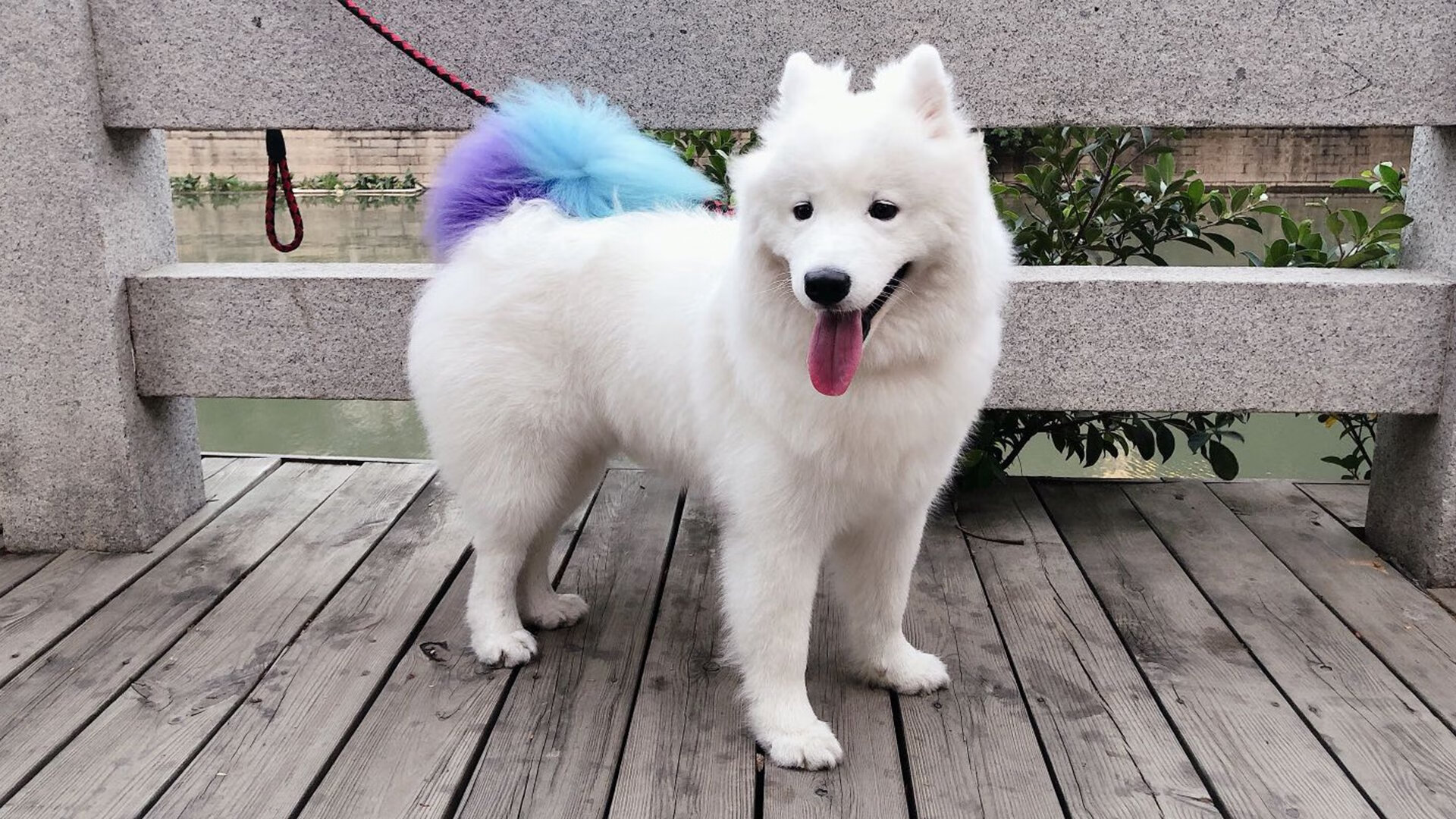 开云体育app-夜空之下，光芒之上，迪亚斯如何以存在感为矛，刺穿英超争冠之夜