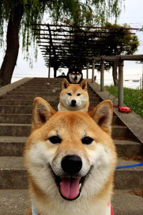 篮球双城记,广东队硬仗力克新疆队,哈利伯顿德甲争冠战独揽风云