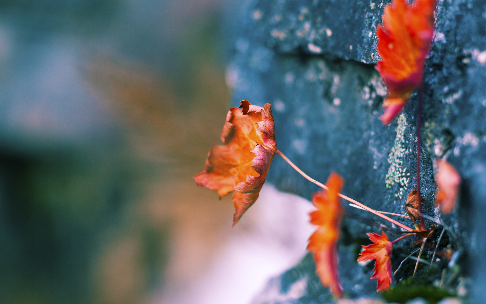 乌克兰强势击溃瑞典，蒂亚戈主宰年度焦点之战