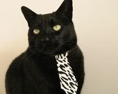 节奏的艺术与巨星的统治，浙江队掌控雄鹿，东契奇世界杯接管比赛