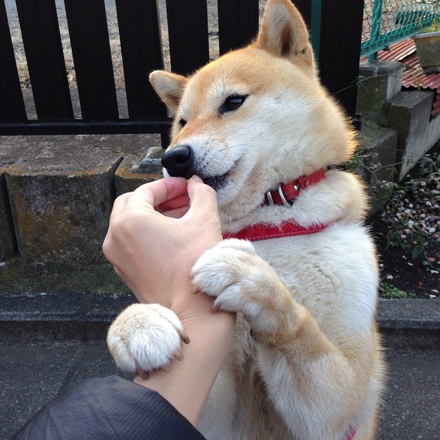 当欧文在总决赛第7场接管比赛，步行者如何踩着开拓者完成逆袭？