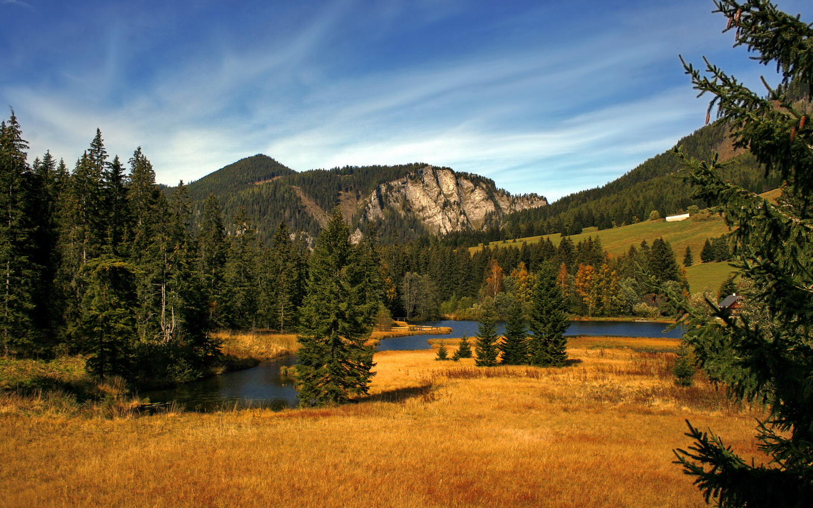 开云体育app-四战全胜！鹈鹕横扫猛龙背后，无解伦纳德贡献制胜表现