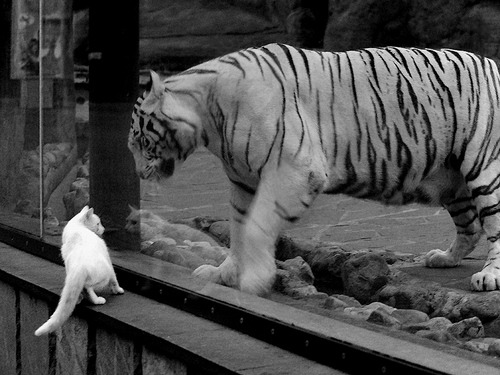 萨内统治全场,乌拉圭斩落国际米兰—一场友谊赛的传奇之夜