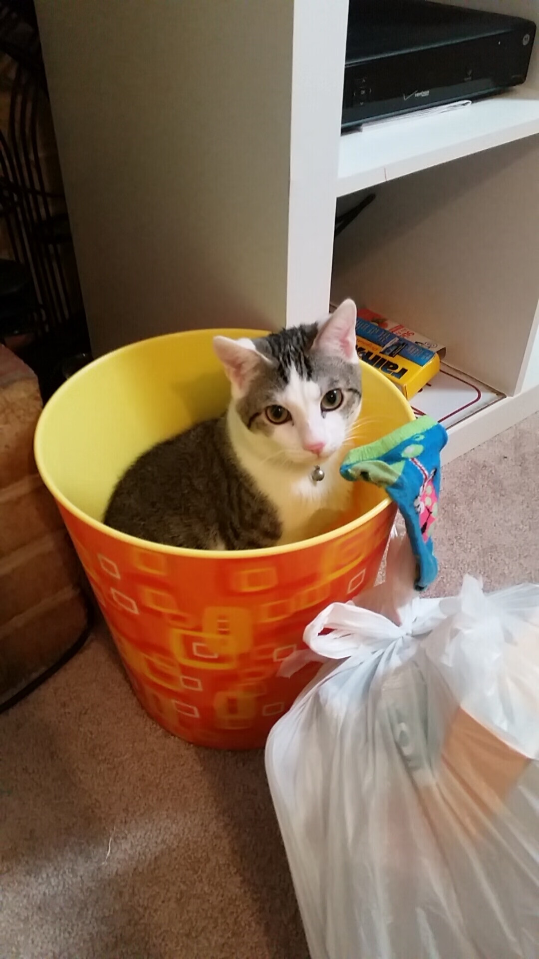 开云体育APP下载-黑星撕裂风雪夜，加纳铁卫坎特一夫当关，冻土之上奏响非洲狂想