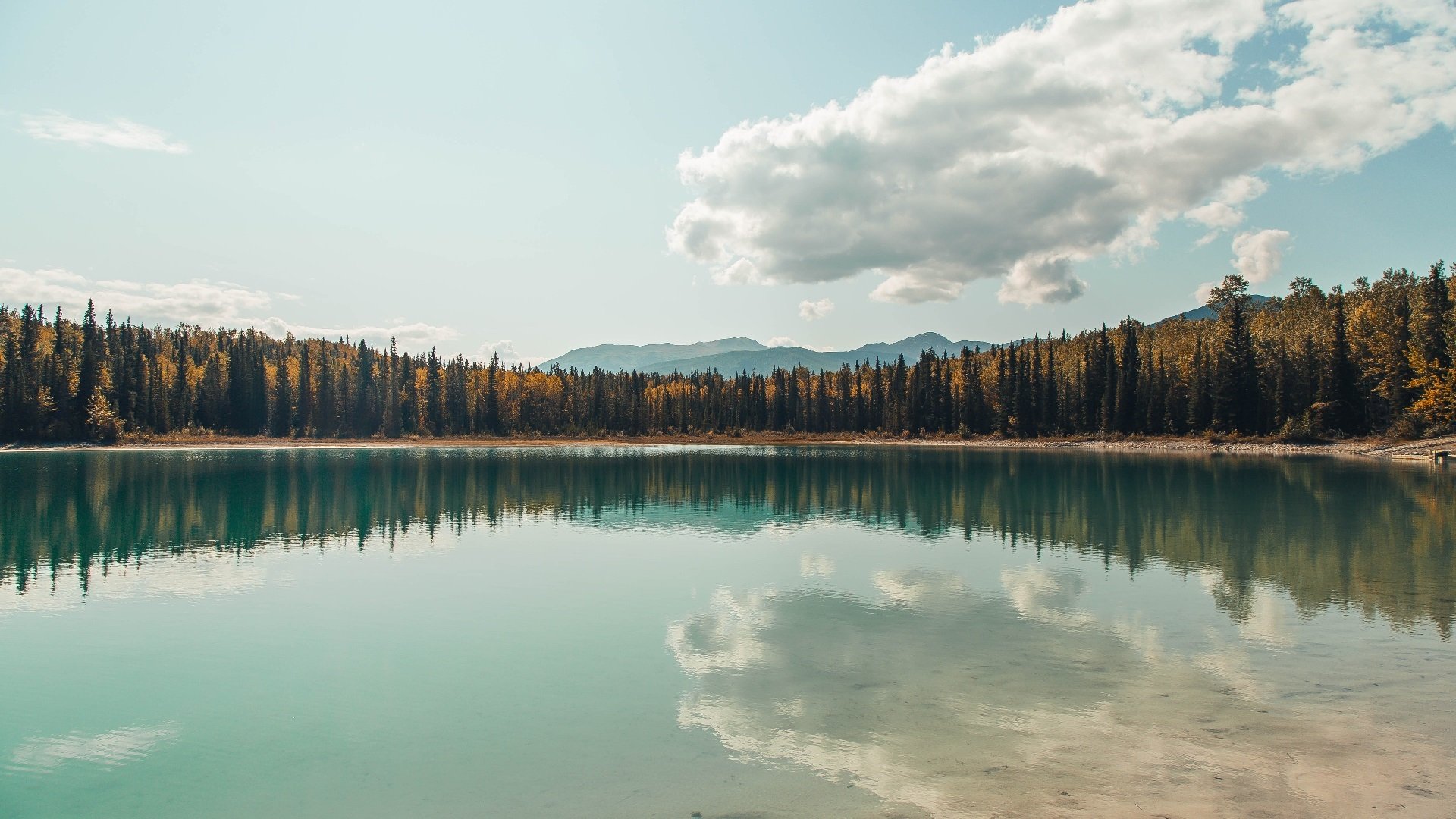 绿焰焚城,卡拉斯科单骑救主,多特蒙德碾压雷恩展露獠牙