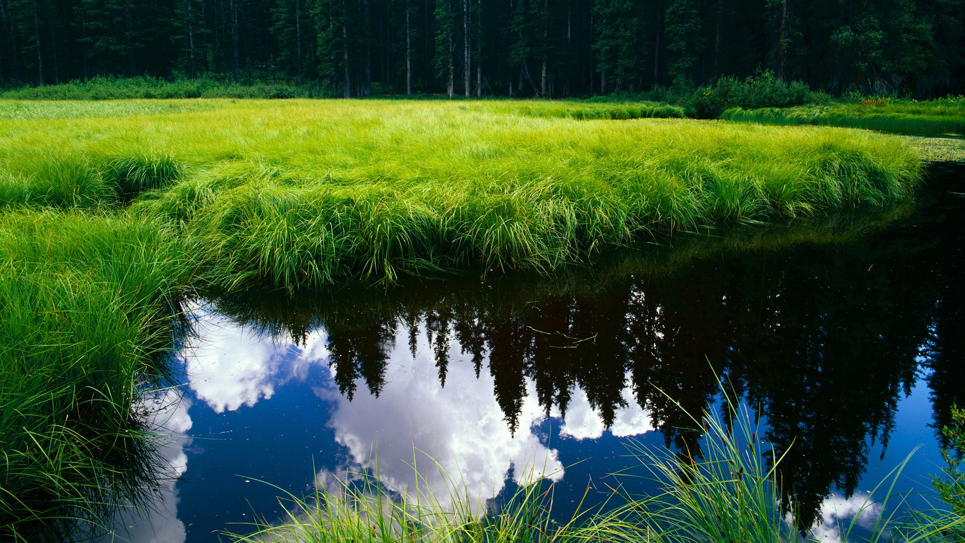 东契奇惊艳四座,国王队以团队之力粉碎独行侠