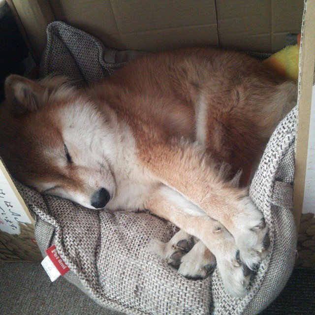 双线闪耀,斯通斯爆发的艺术与芬兰的钢铁意志