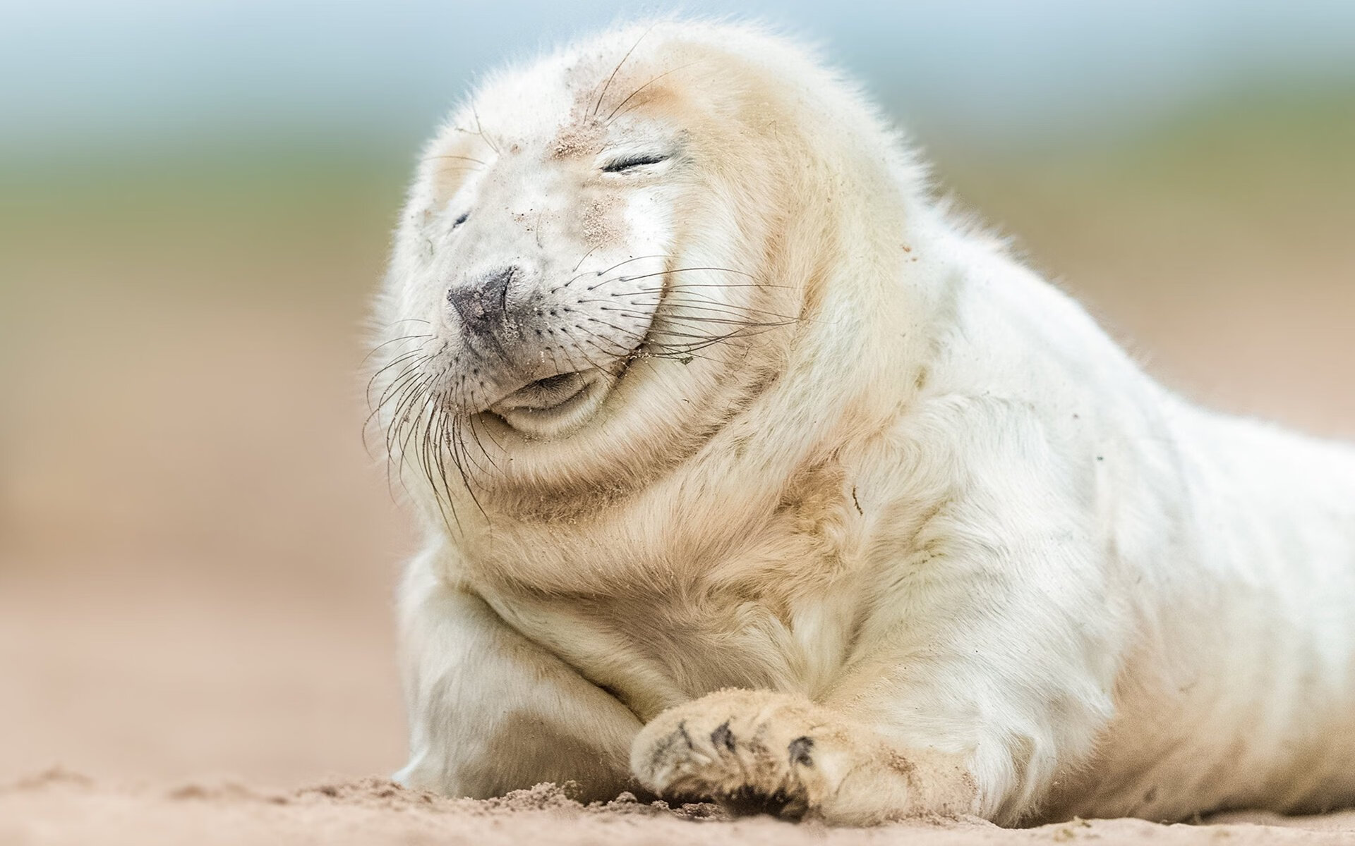 芬兰力克沙特,迪马利亚东决关键战接管比赛,体育之夜的双重奏