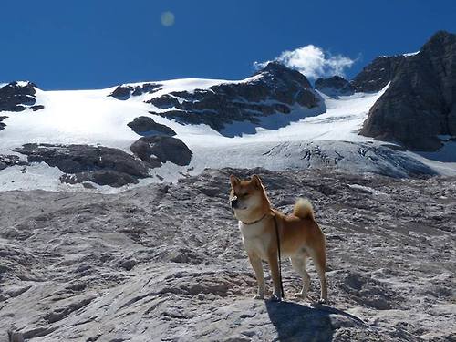 基米希精准制导!莱比锡红牛闪电战冲垮日本防线