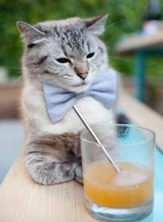 当新疆广厦战至加时,今夜他就是CBA伦纳德