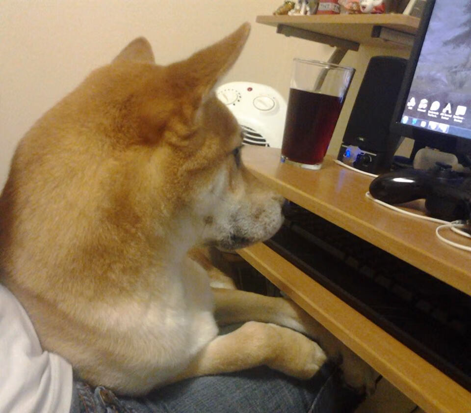 黑马改写剧本，凯塞多导演韩国绝杀，亚洲足球格局暗流涌动