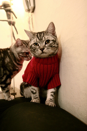 开云APP-欧文关键先生助火箭惊天翻盘太阳