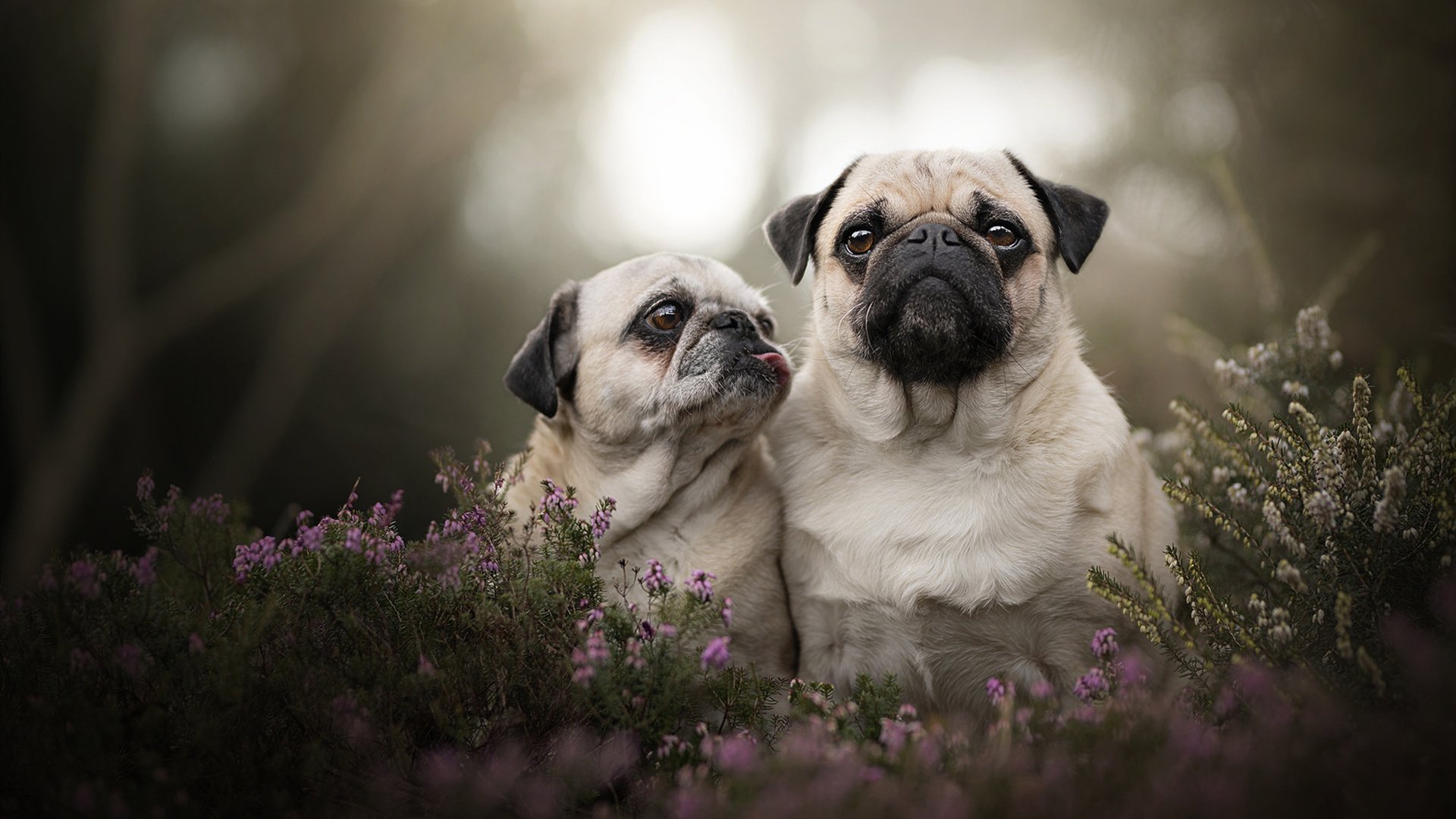 开云APP-虚惊一场后的涅槃，奥纳纳如何在89分钟绝境中为几内亚正名