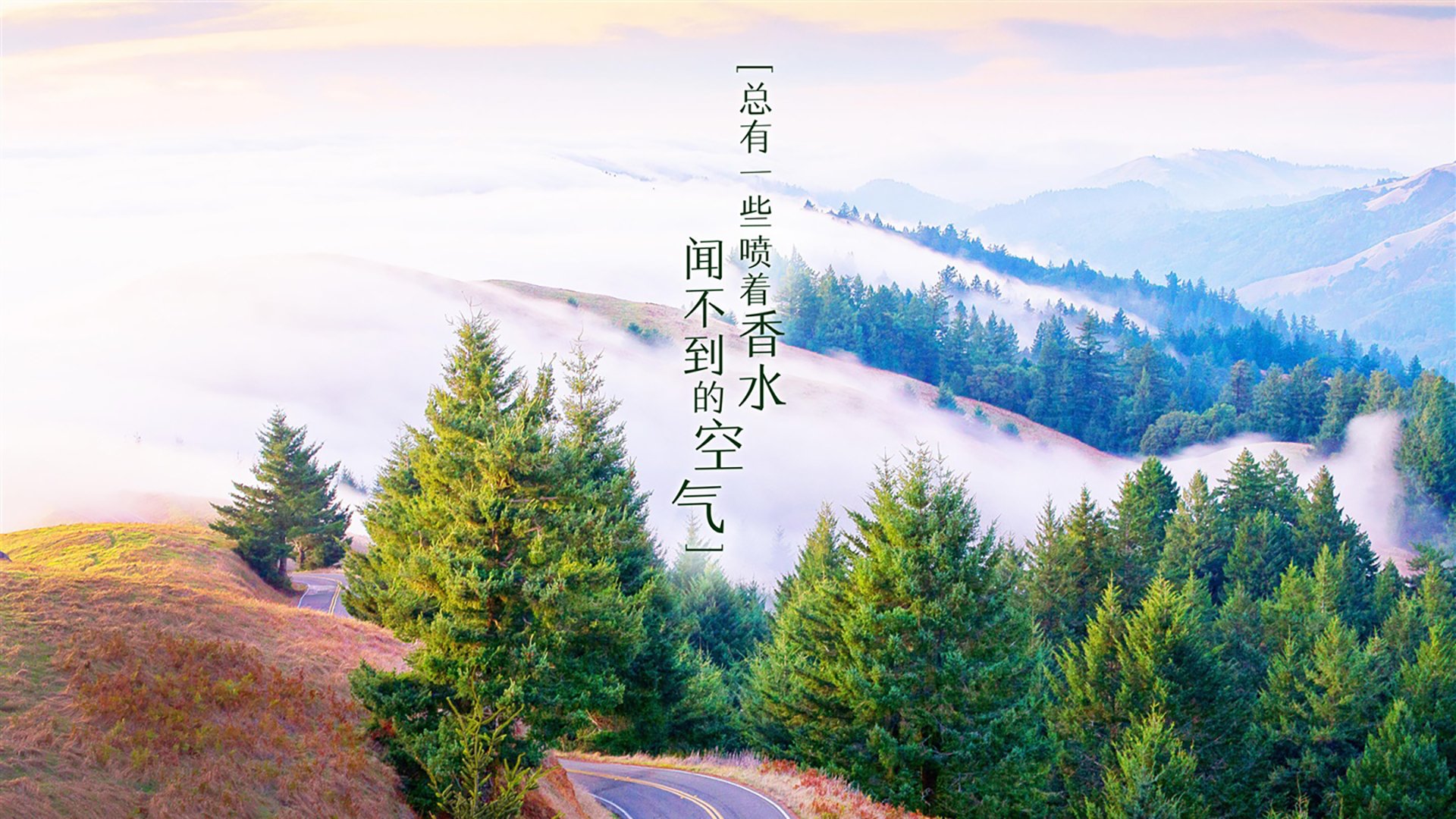 2026世界杯豪门对决关键战，吉鲁领衔法国全场压制，日本碾压越南展亚洲霸主风采