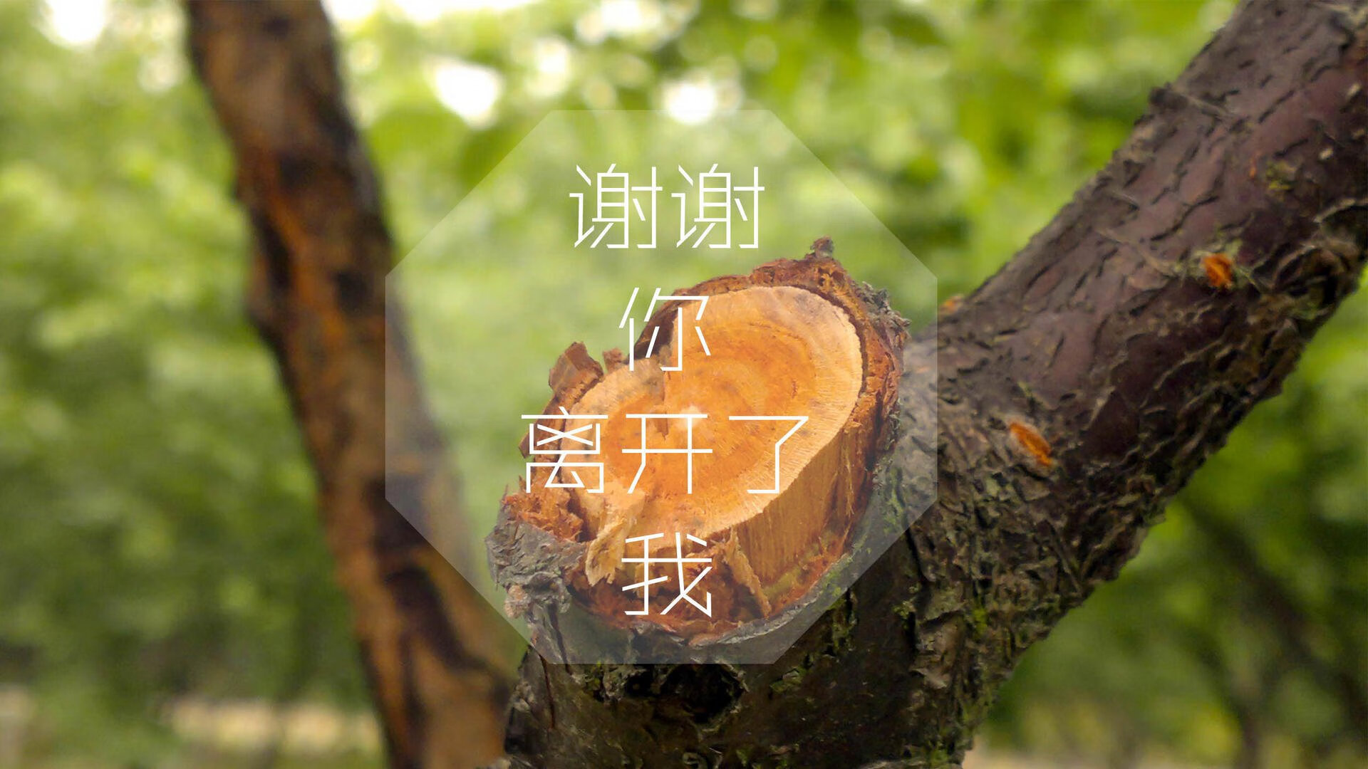 -中东旋风席卷南亚雄狮，京多安导演碾压式胜利，阿联酋主场击溃印度