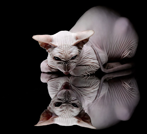 开云体育中国-蓝衣军团的意志，卢卡库闪耀揭幕战，意大利险胜乌拉圭彰显冠军底蕴