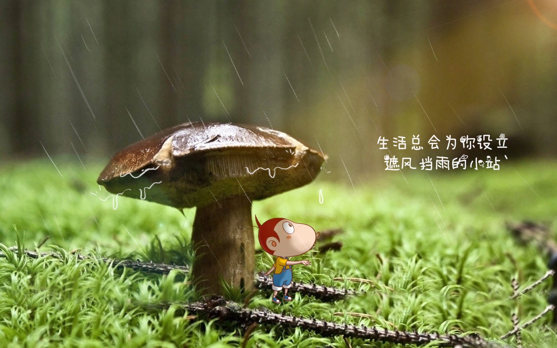 开云APP-莱万多夫斯基引领匈牙利逆转加纳，2026世界杯C组上演经典对决