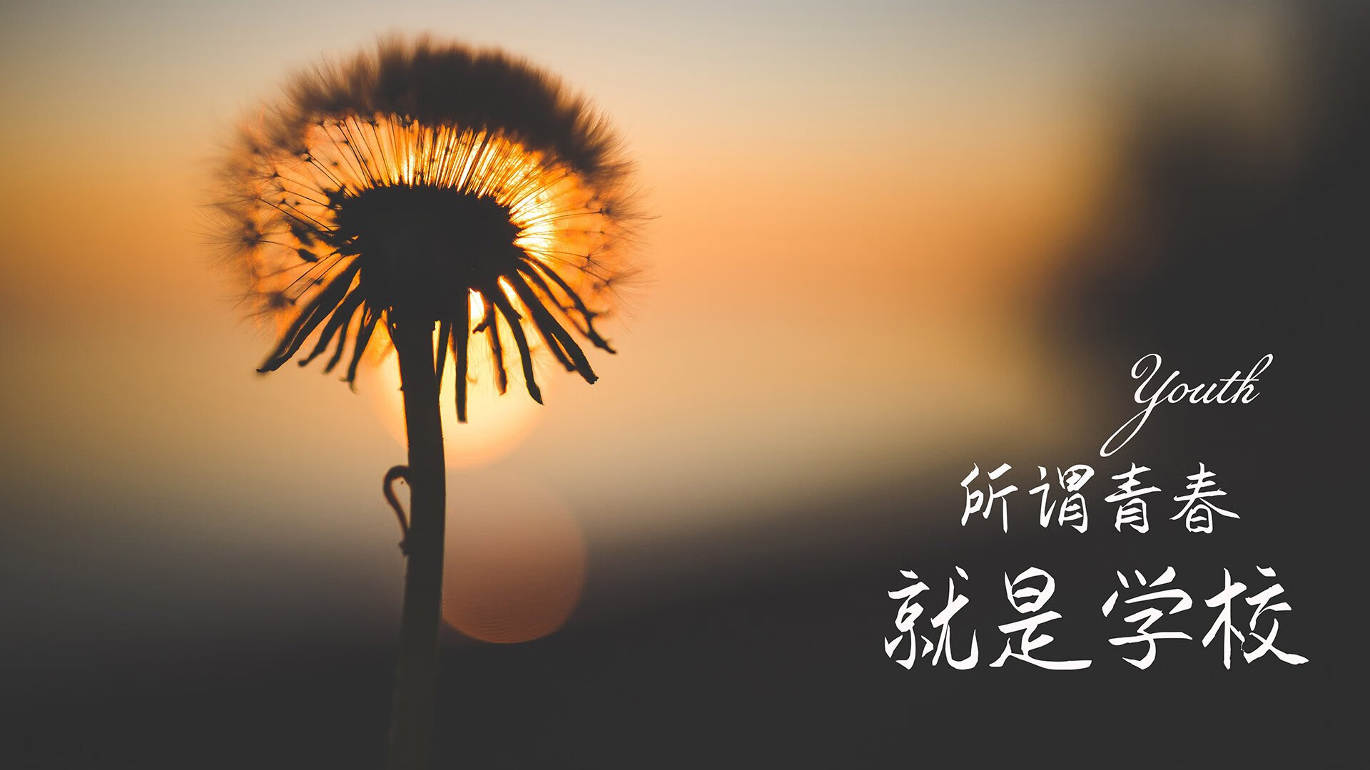 南美烽烟再起，智利压哨绝杀墨西哥，维尼修斯闪耀2026世界杯出线战