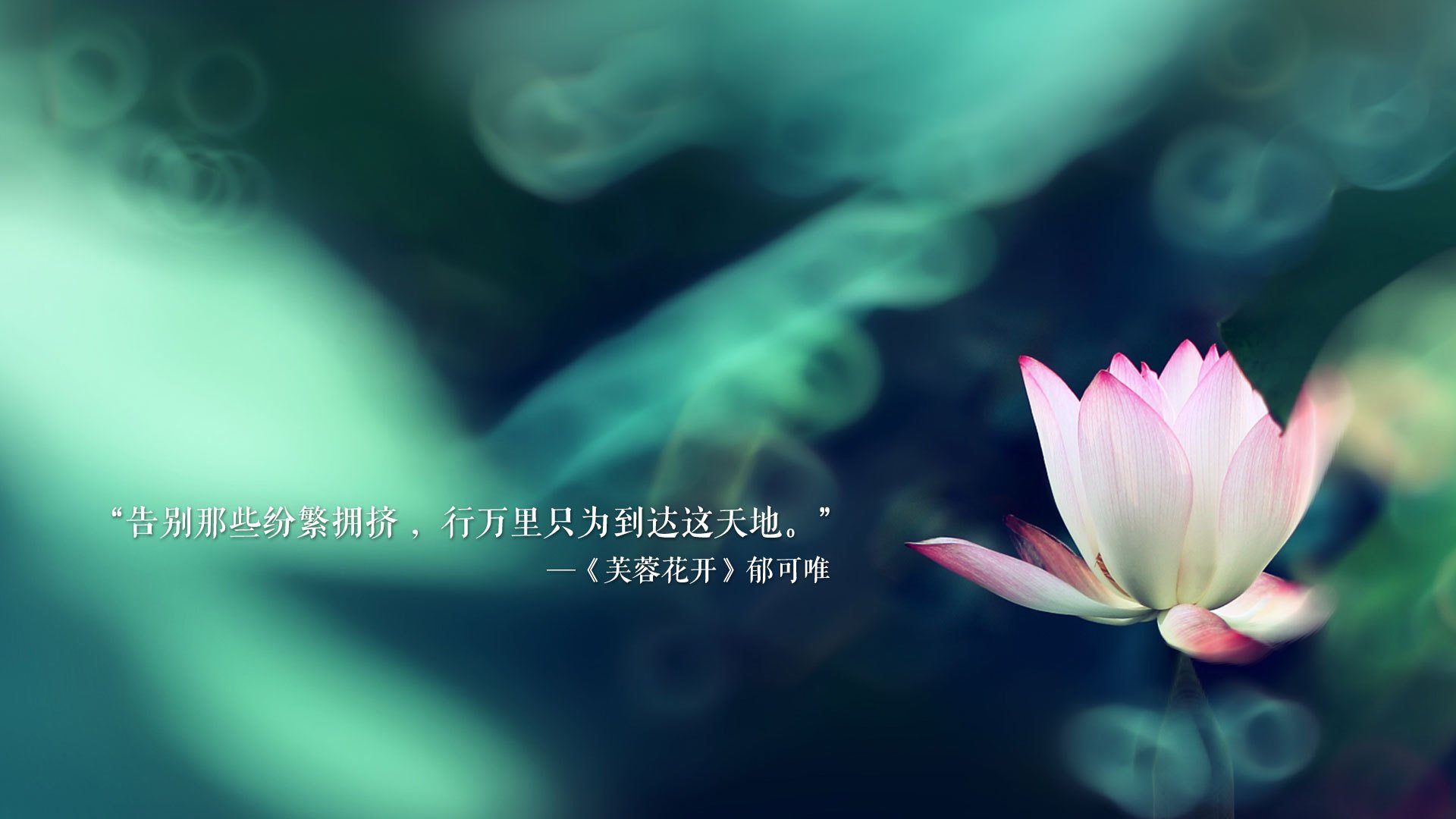 冰与火之歌，泰式旋风席卷北欧，2026世界杯H组上演惊天冷门