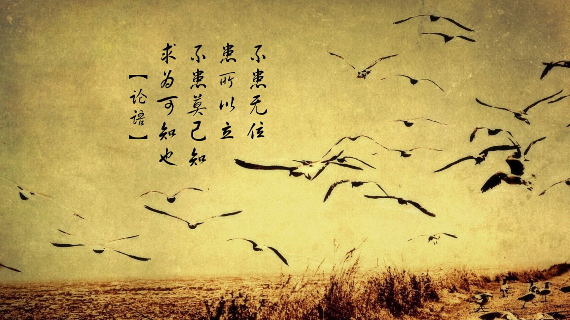 开云体育登录-沙漠逆袭，努涅斯致命一击，加纳战术完胜沙特掀翻2026世界杯H组格局
