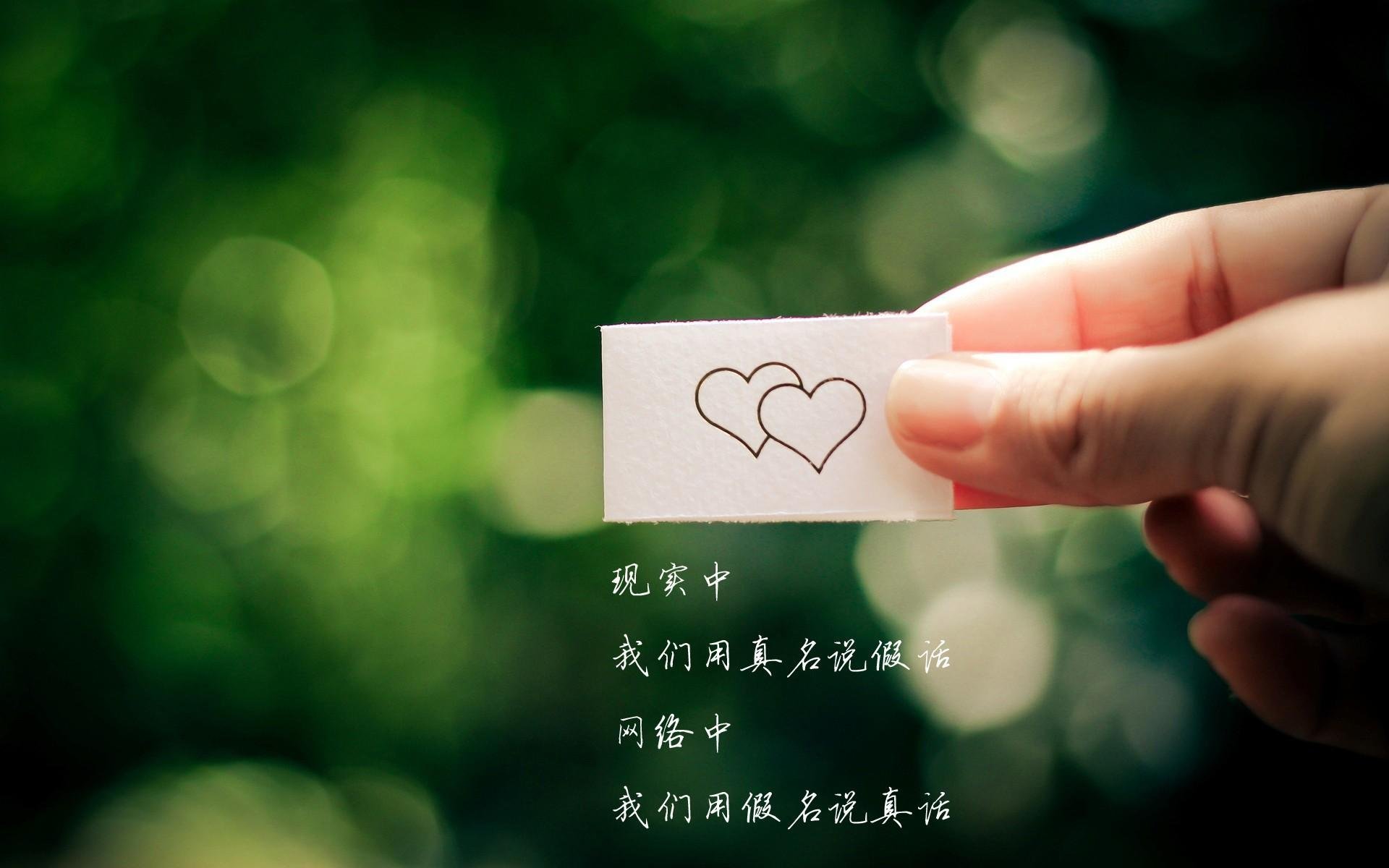 沙漠风暴席卷绿茵,2026世界杯决赛,阿联酋如何用铁血压制击碎保加利亚,萨卡封神之夜