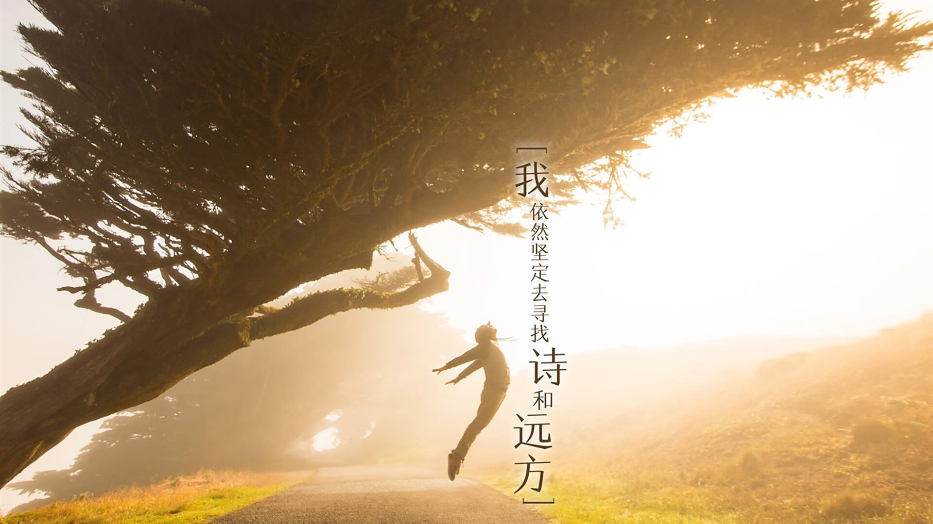 北欧风暴席卷多哈,芬兰碾压伊朗,阿诺德一战封神