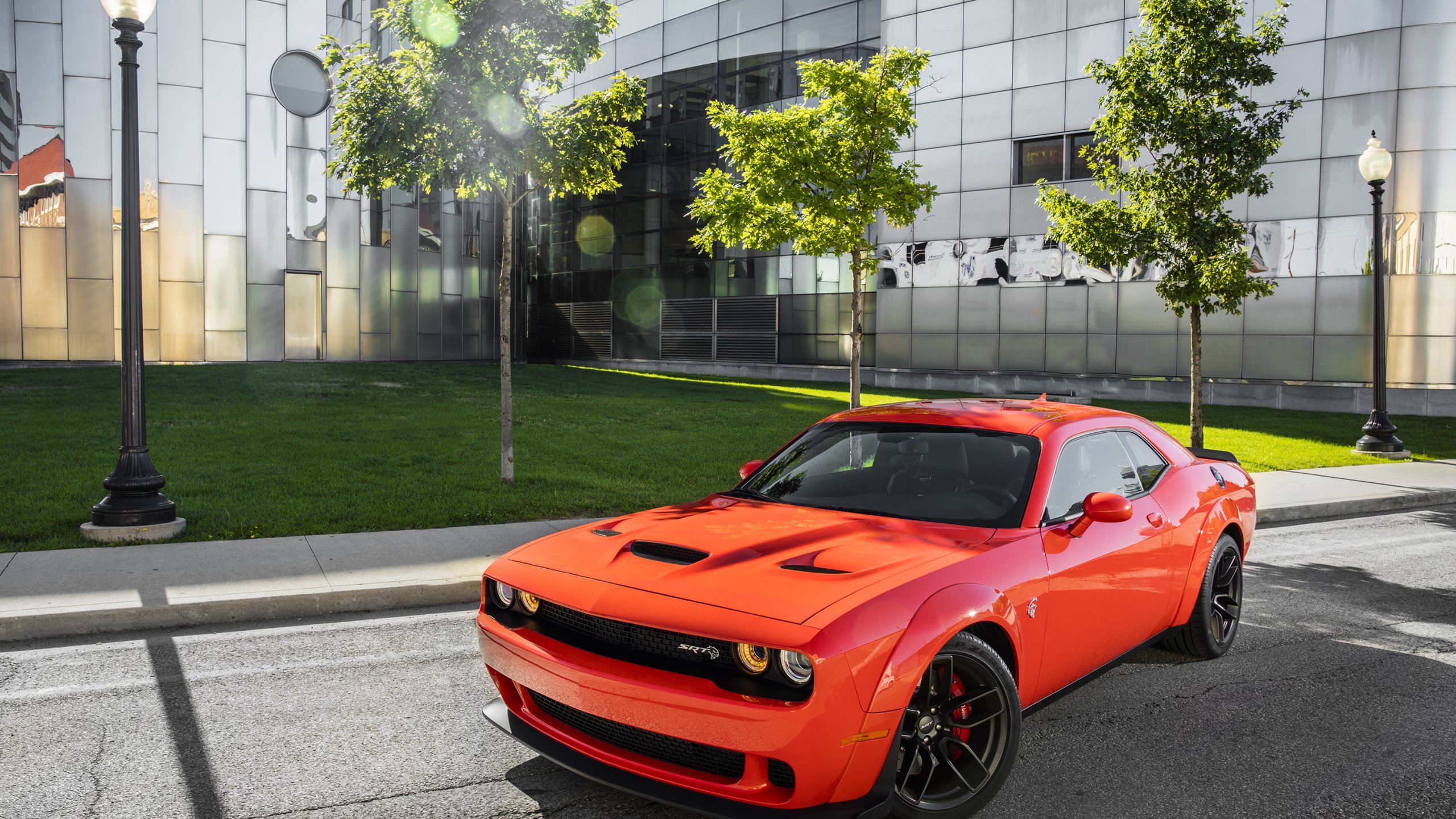 开云平台-黑马奔腾，保加利亚完胜比利时，坎塞洛导演E组惊天冷门