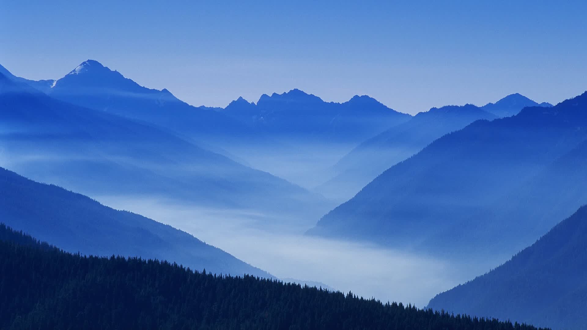 开云体育在线-费利克斯独造三球，保加利亚完胜澳大利亚引爆2026世界杯E组焦点战